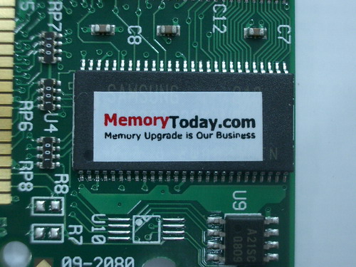 IMGP6735.JPG