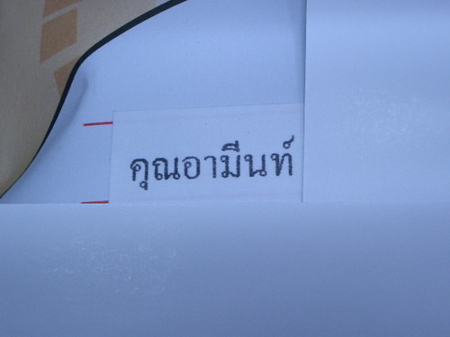 IMGP6782.JPG
