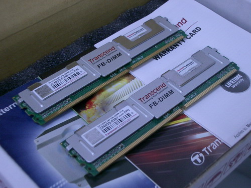 IMGP6797.JPG