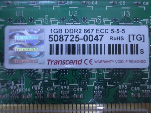 IMGP6802.JPG