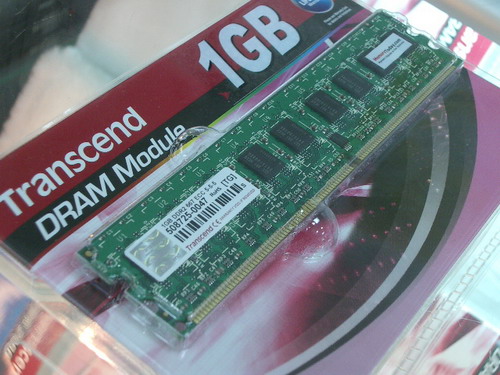 IMGP6804.JPG