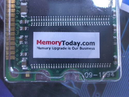 IMGP6808.JPG