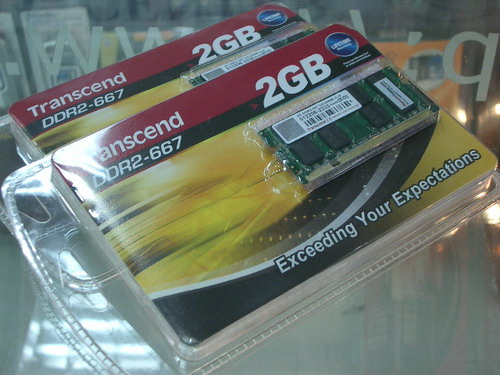 IMGP6819.JPG