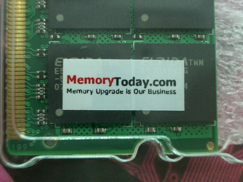 IMGP6840.JPG