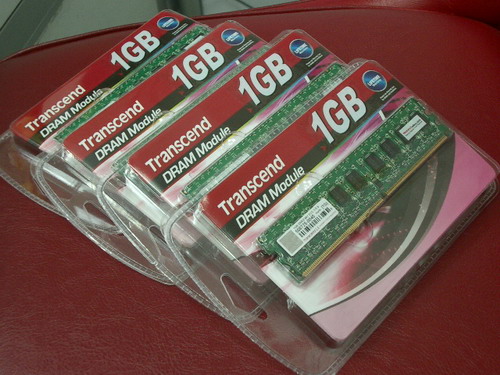 IMGP6850.JPG