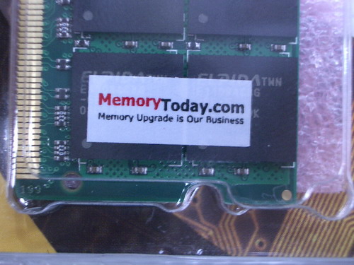 IMGP6901.JPG