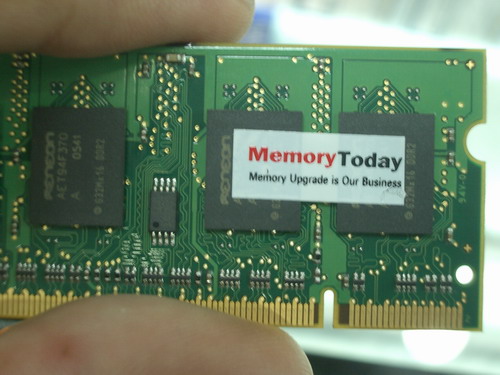 IMGP6902.JPG
