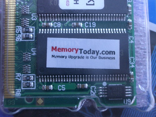 IMGP6908.JPG