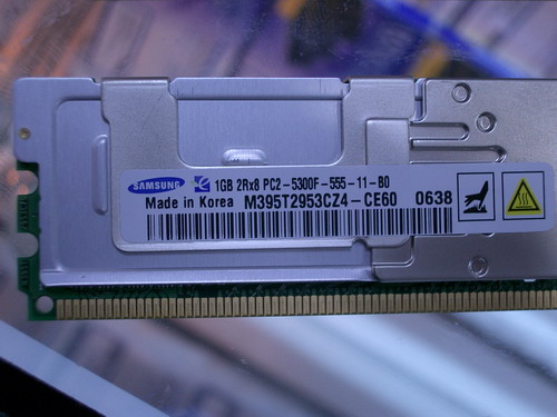IMGP6915.JPG