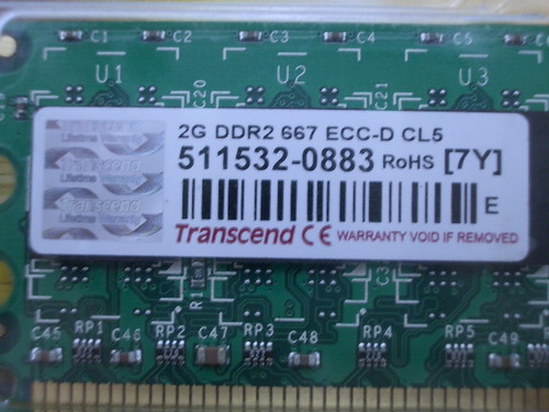 IMGP6917.JPG