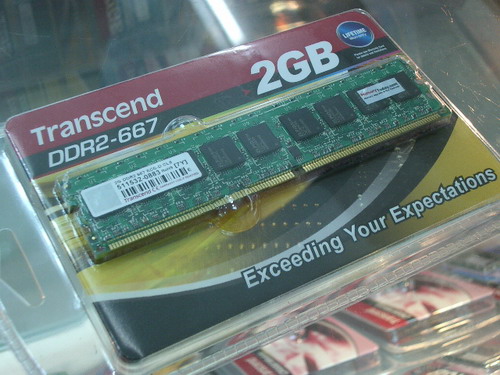 IMGP6918.JPG