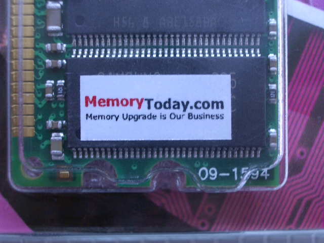 IMGP6920.JPG