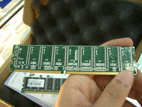 IMGP6924.JPG