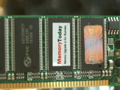 IMGP6925.JPG