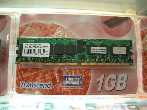 IMGP6935.JPG