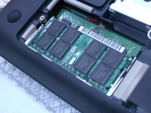 IMGP6944.JPG