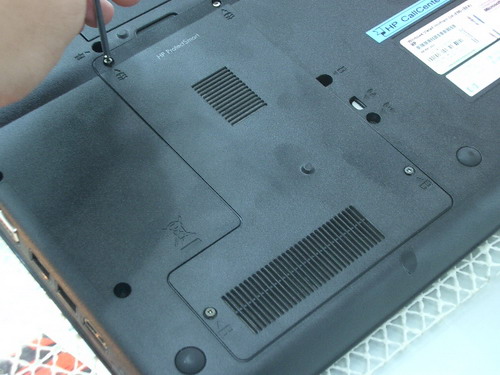 IMGP6945.JPG