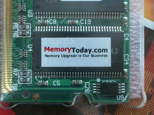 IMGP6973.JPG