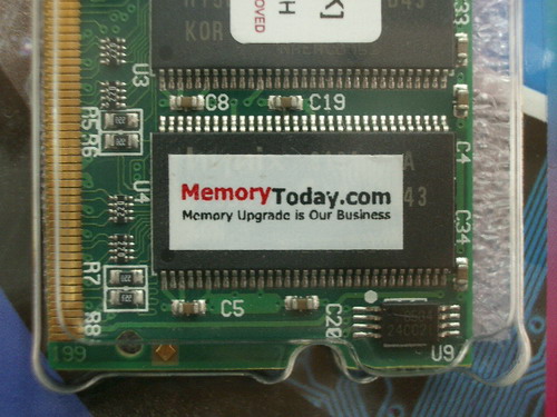 IMGP6977.JPG