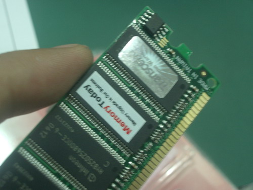 IMGP7024.JPG