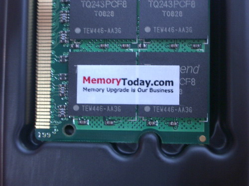 IMGP7026.JPG