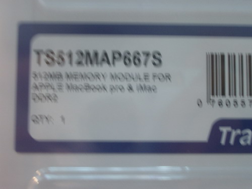 IMGP7028.JPG
