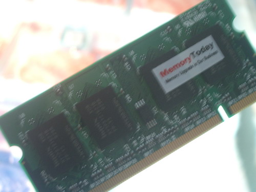 IMGP7031.JPG