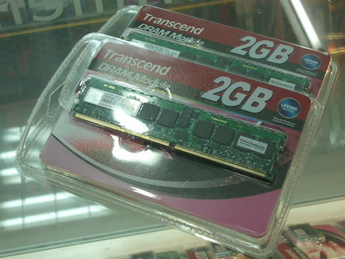 IMGP7037.JPG