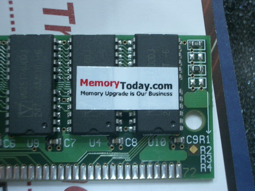 IMGP7040.JPG