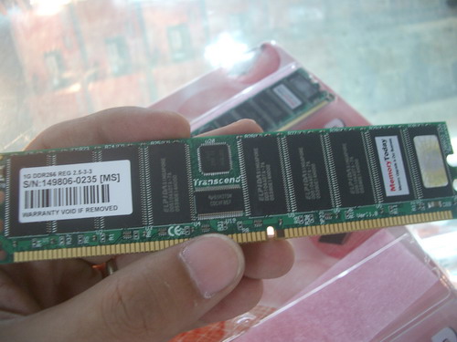 IMGP7047.JPG