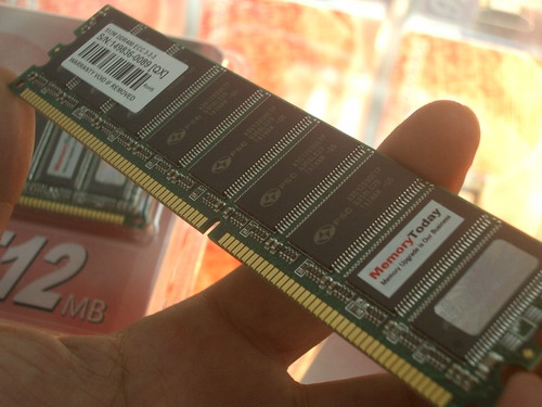 IMGP7054.JPG