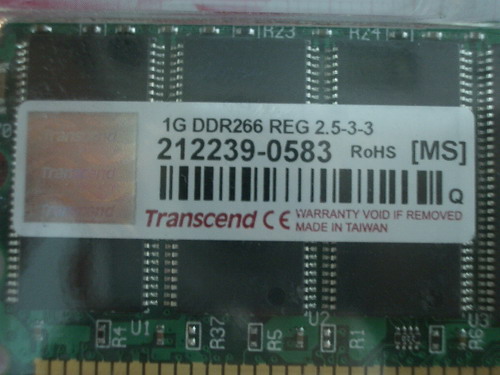 IMGP7085.JPG