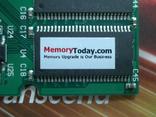 IMGP7101.JPG