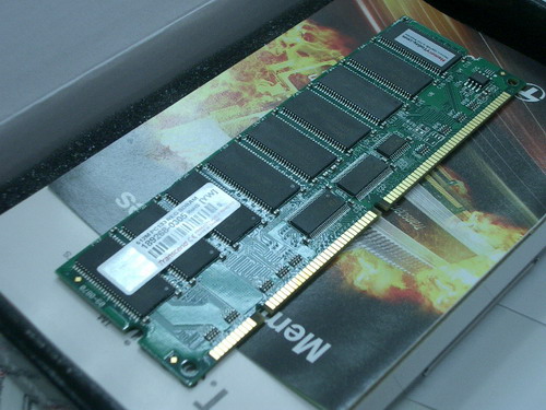 IMGP7106.JPG