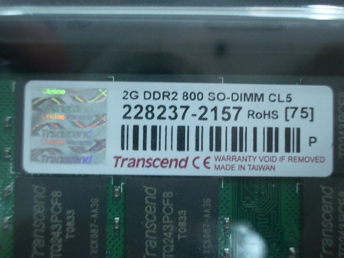IMGP7121.JPG