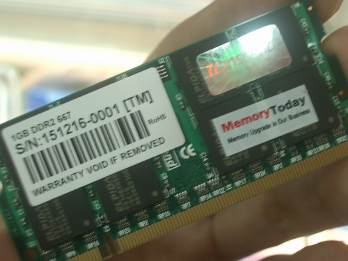 IMGP7125.JPG