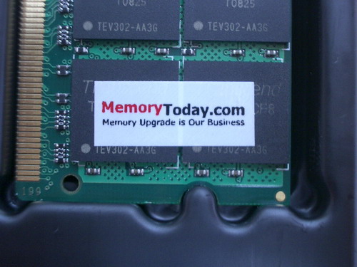 IMGP7125.JPG