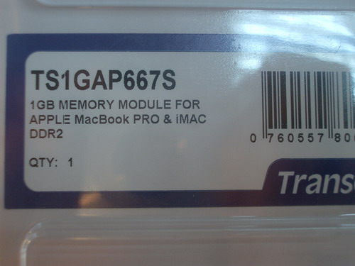IMGP7133.JPG