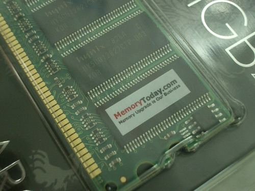 IMGP7141.JPG