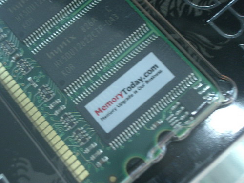 IMGP7147.JPG