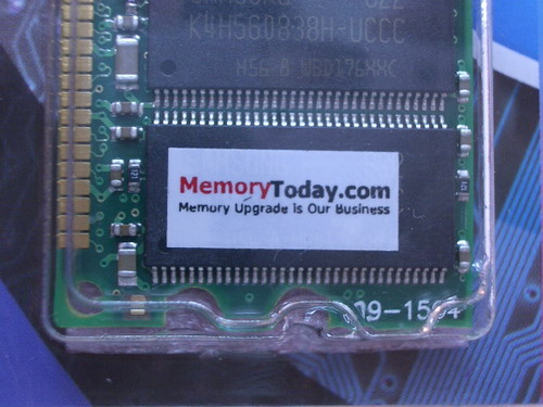 IMGP7157.JPG
