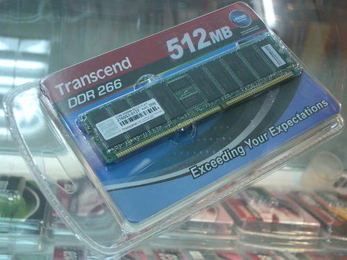IMGP7164.JPG