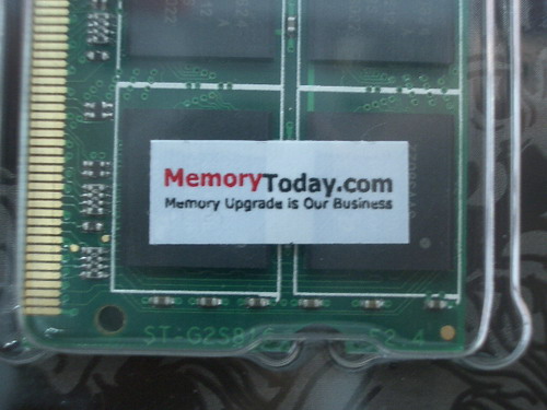 IMGP7176.JPG