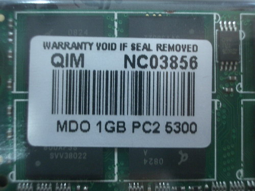 IMGP7177.JPG