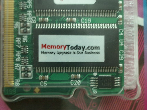 IMGP7182.JPG