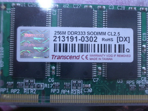 IMGP7184.JPG