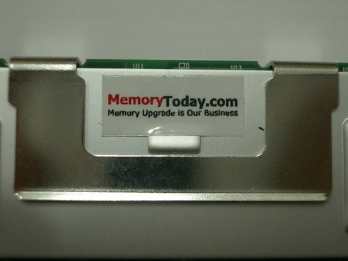 IMGP7195.JPG