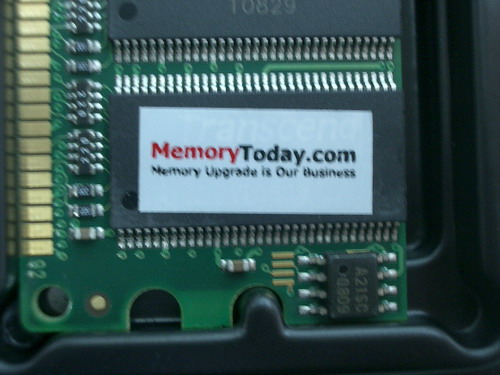 IMGP7204.JPG