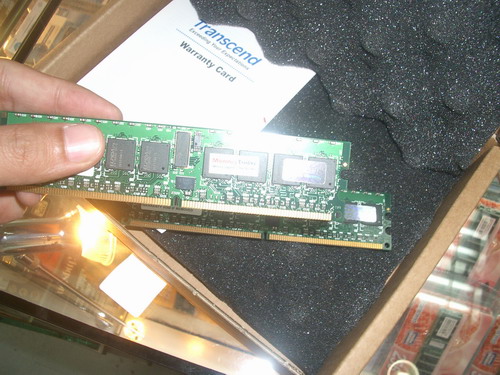 IMGP7217.JPG