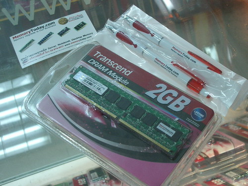 IMGP7226.JPG